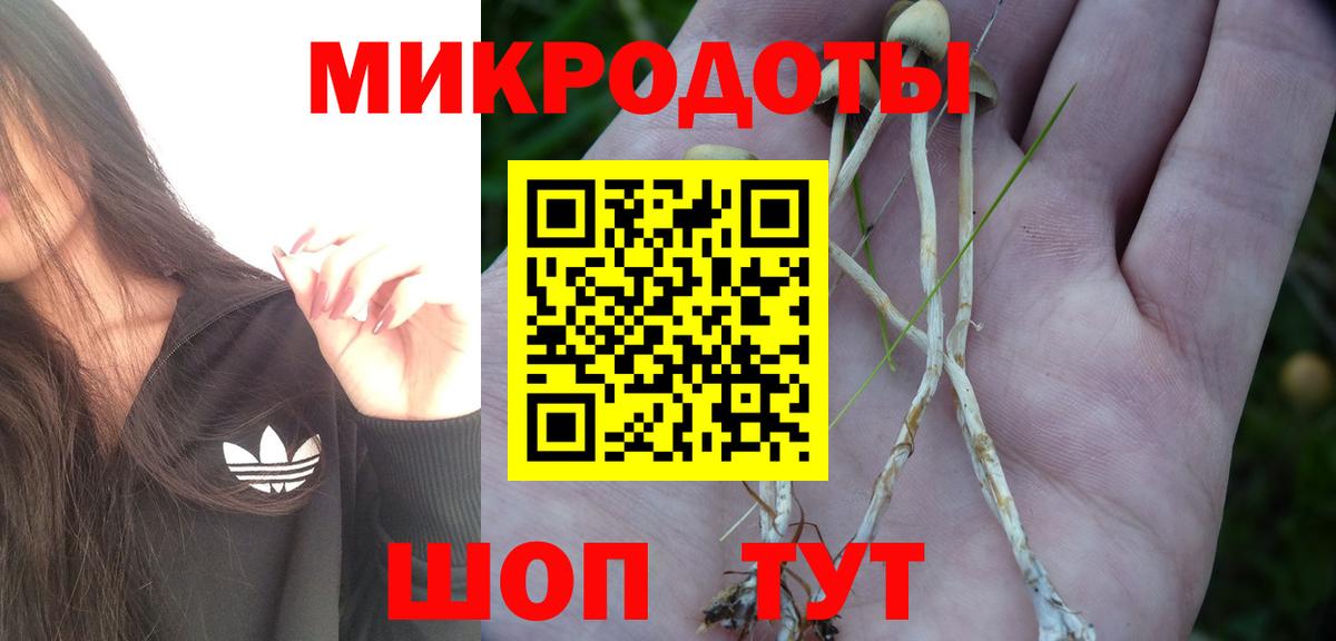 Псилоцибиновые грибы Cubensis Скопин